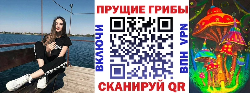 shop телеграм  Инза  Галлюциногенные грибы Psilocybine cubensis 